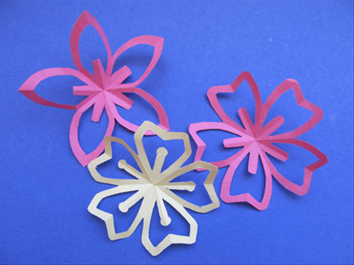 How to Make a Kirigami Cherry Blossom (Sakura) Step-by-Step