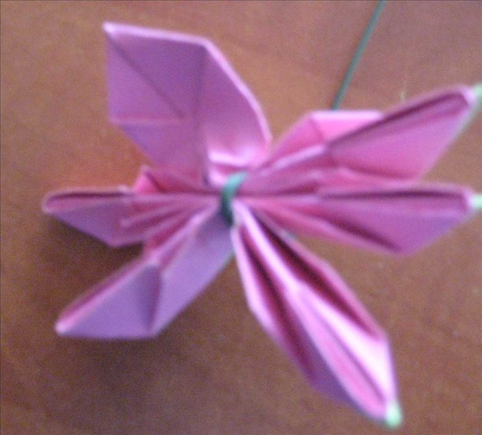 Step 11
