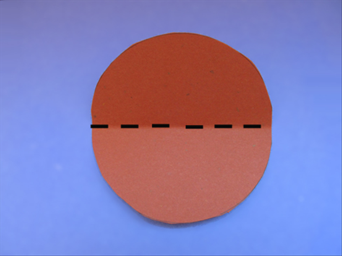 Step 6